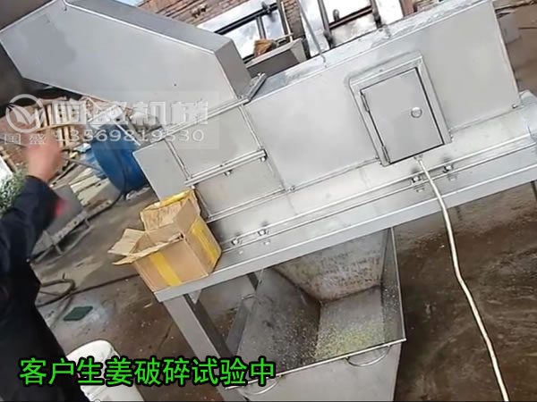 生薑破碎機 生薑破碎機