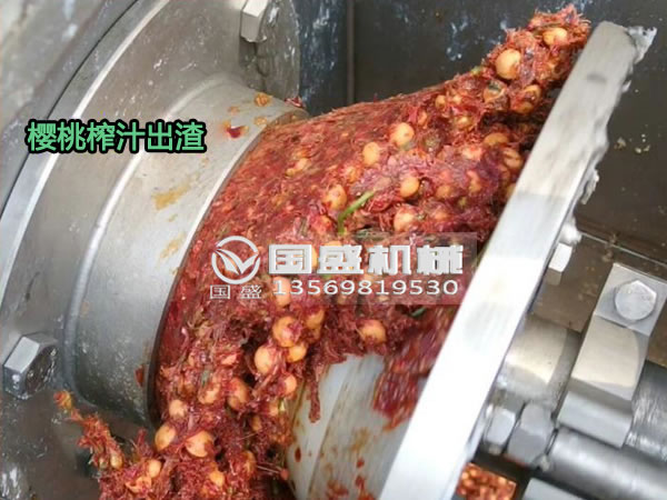 91视频网站免费看櫻桃螺旋壓榨脫水機